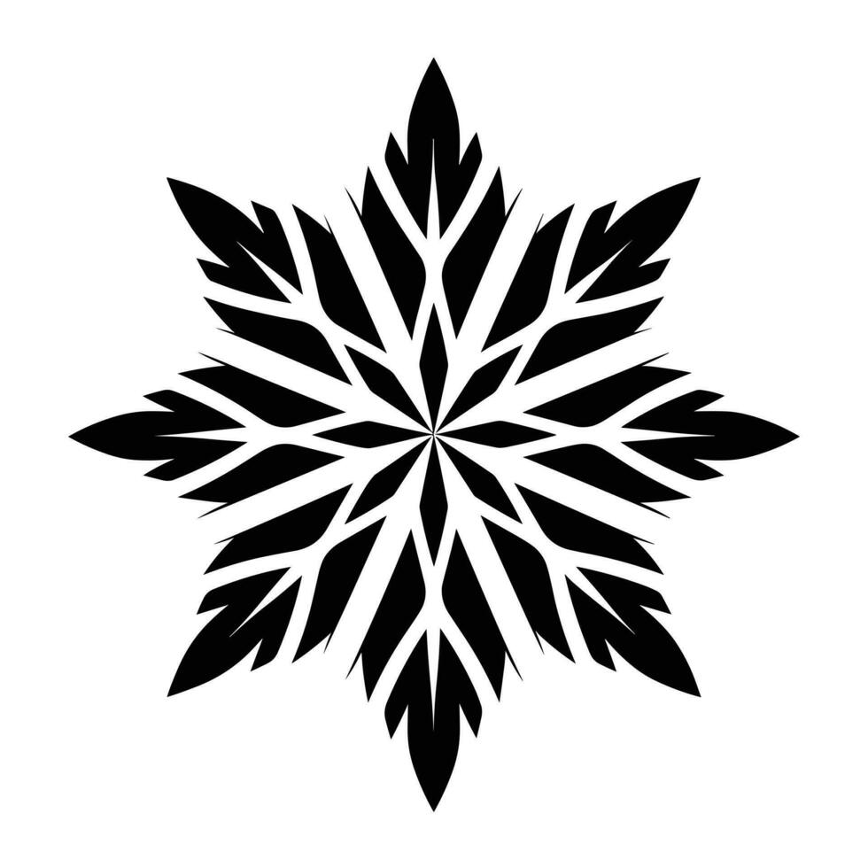 Beautiful Christmas Snowflake vector