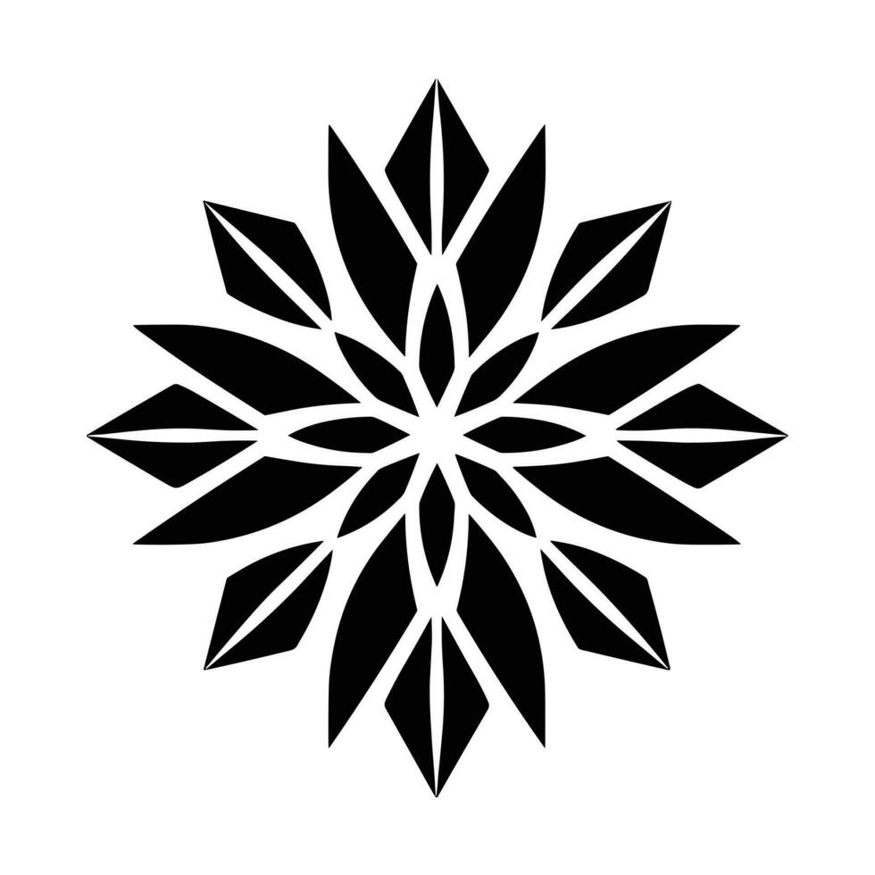 Beautiful Christmas Snowflake vector