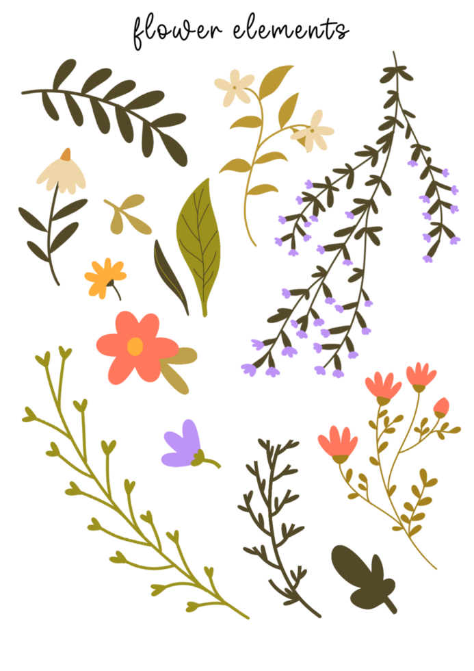 mano disegnato fiore elementi con di stagione fiori e le foglie png