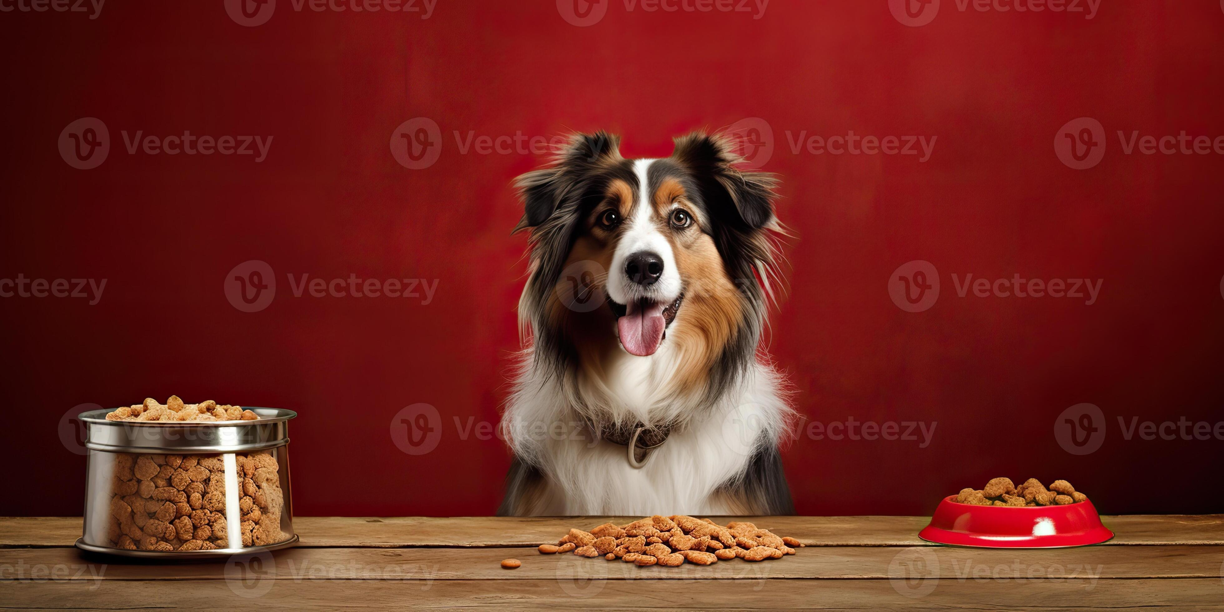 Dog food deed meal promotion. Store market marketing pet zoo. Graphic Art 24699180 Stock Photo