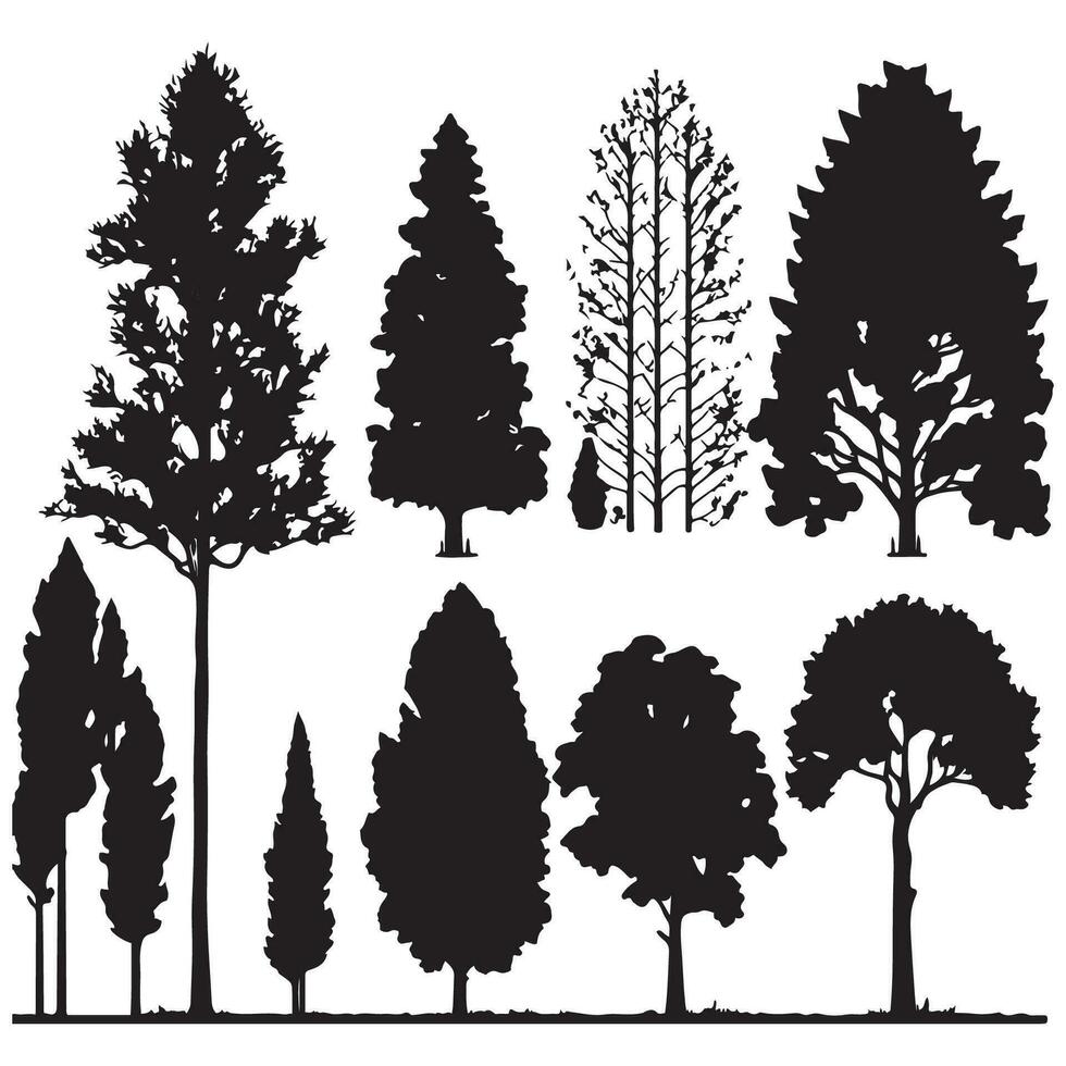 Group of trees silhouette. Tree silhouette vector. vector