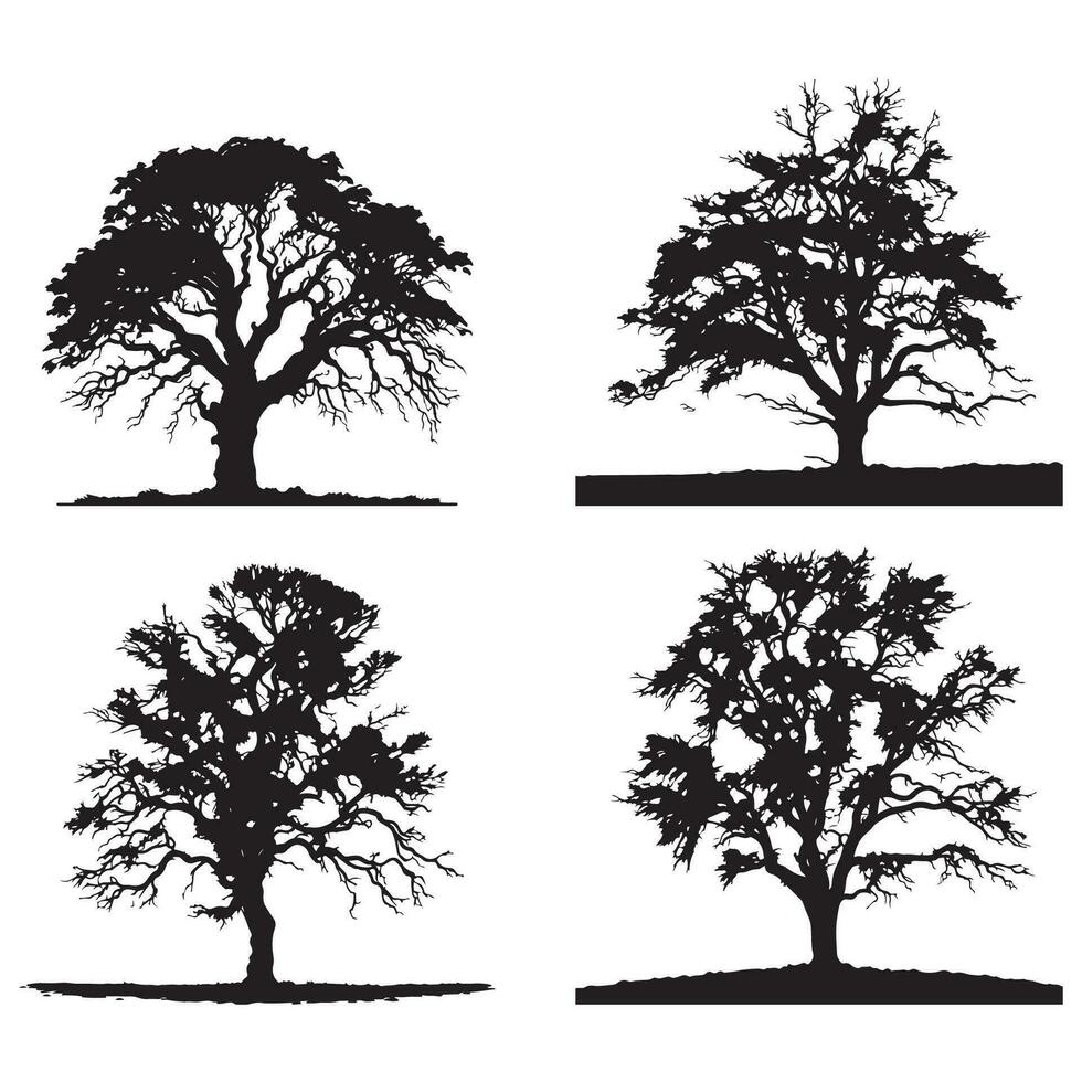 set of Banyan trees silhouettes. Big tree black silhouette vector
