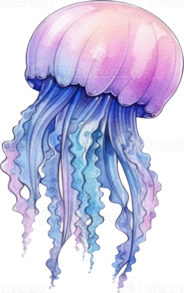 Jellyfish Watercolor Illustration AI Generated png