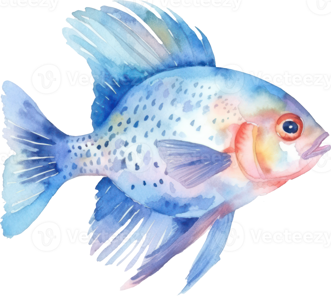 Colorful Fish Watercolor Illustration png