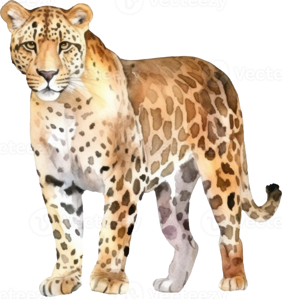 leopardo acuarela ilustración. ai generado png