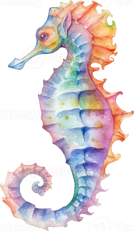Seahorse Watercolor Illustration png