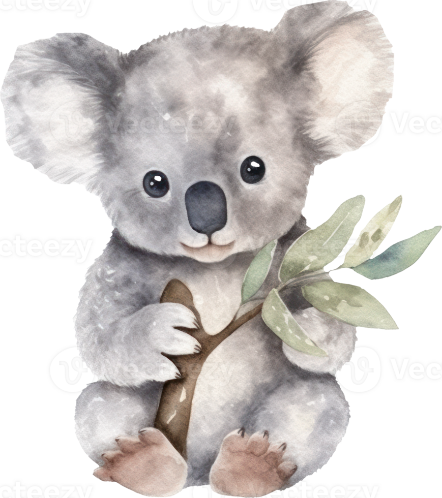 Cute Baby Koala Watercolor png