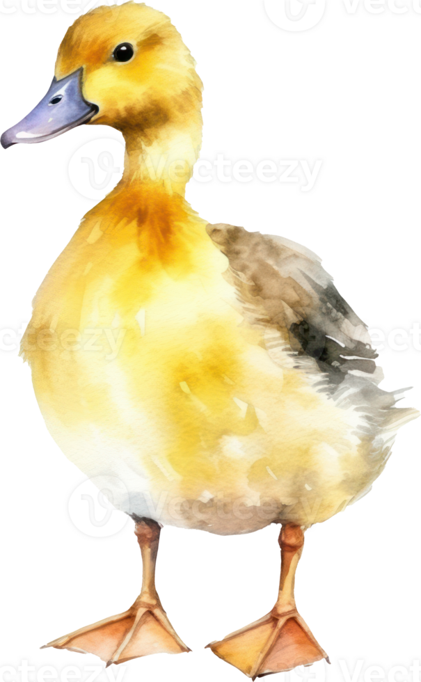 Cute Baby Duck Watercolor AI Generated png