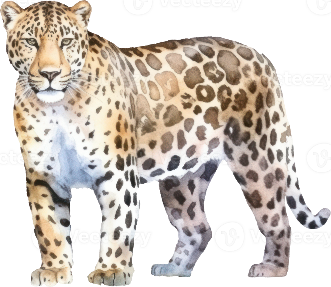 leopardo aguarela ilustração. ai gerado png