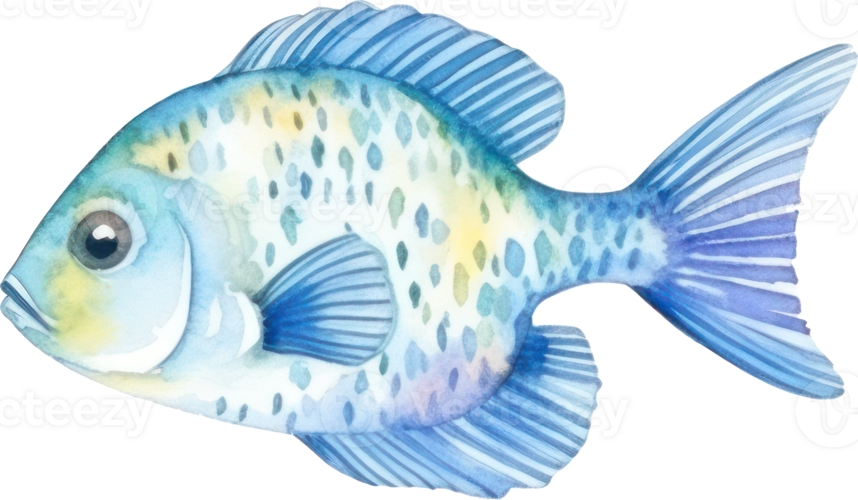 Colorful Fish Watercolor Illustration png