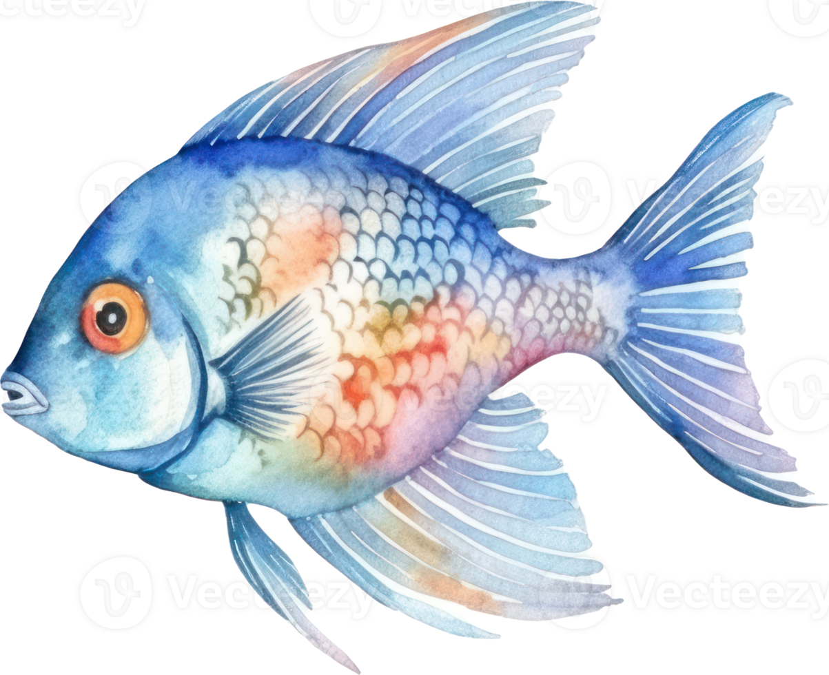 Colorful Fish Watercolor Illustration png