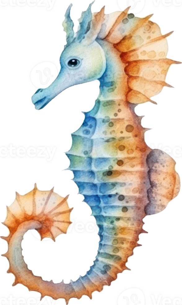 hippocampe aquarelle illustration ai généré png