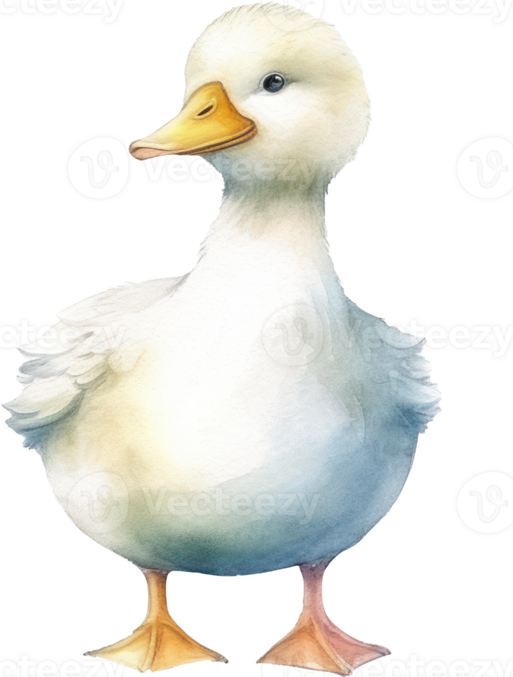 Cute Baby Duck Watercolor png