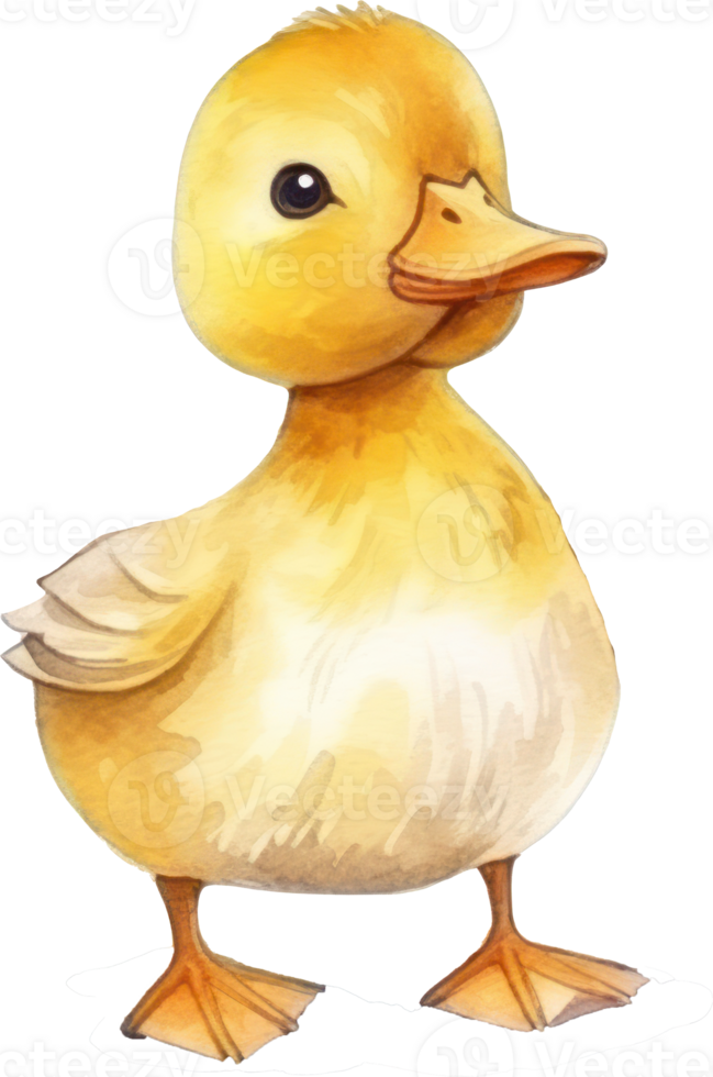Cute Baby Duck Watercolor png