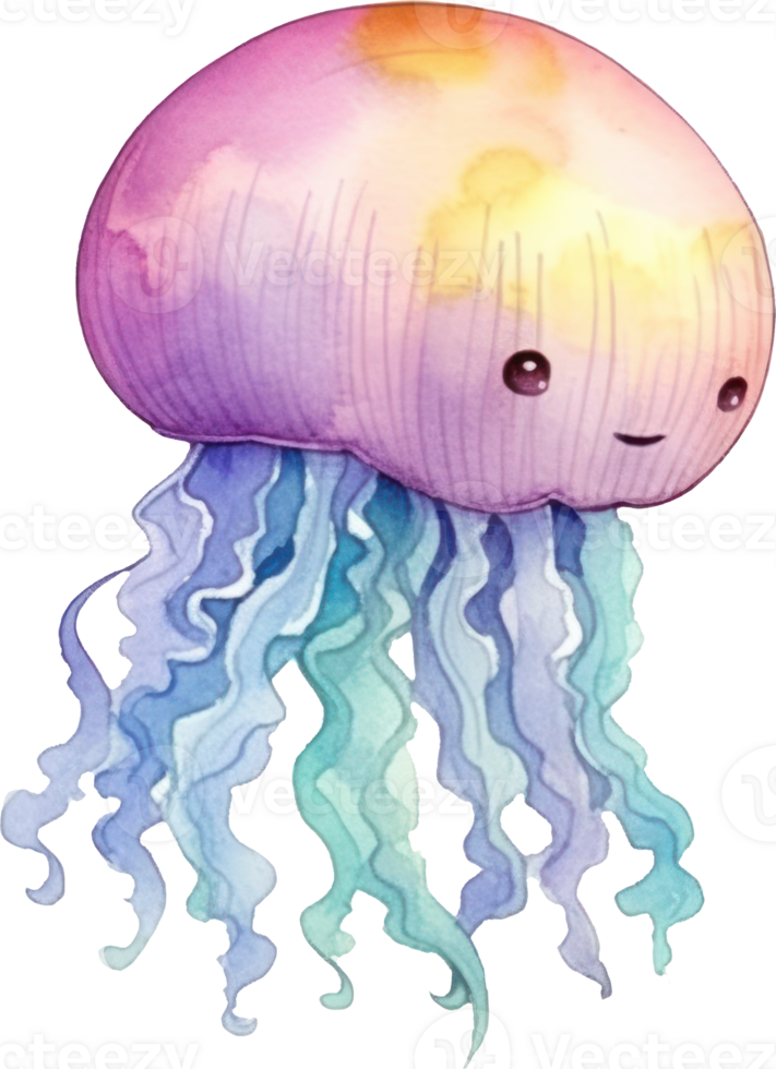 Jellyfish Watercolor Illustration png