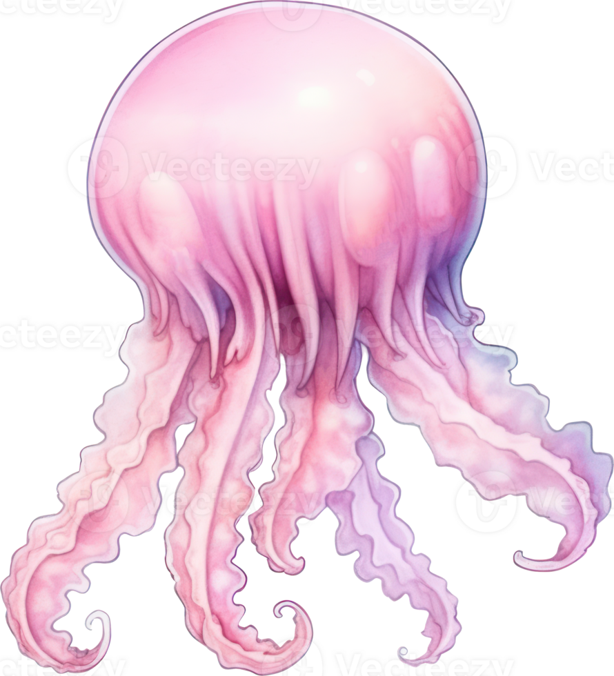 Jellyfish Watercolor Illustration png