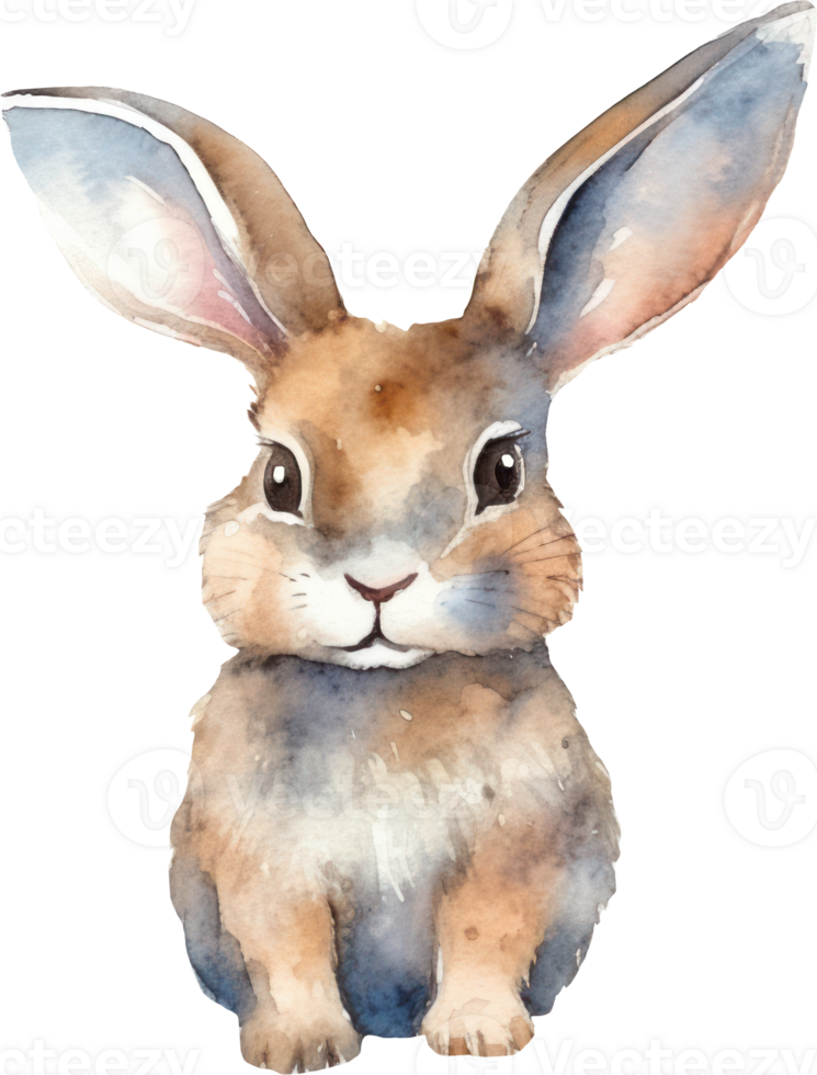 Rabbit Watercolor Illustration. png