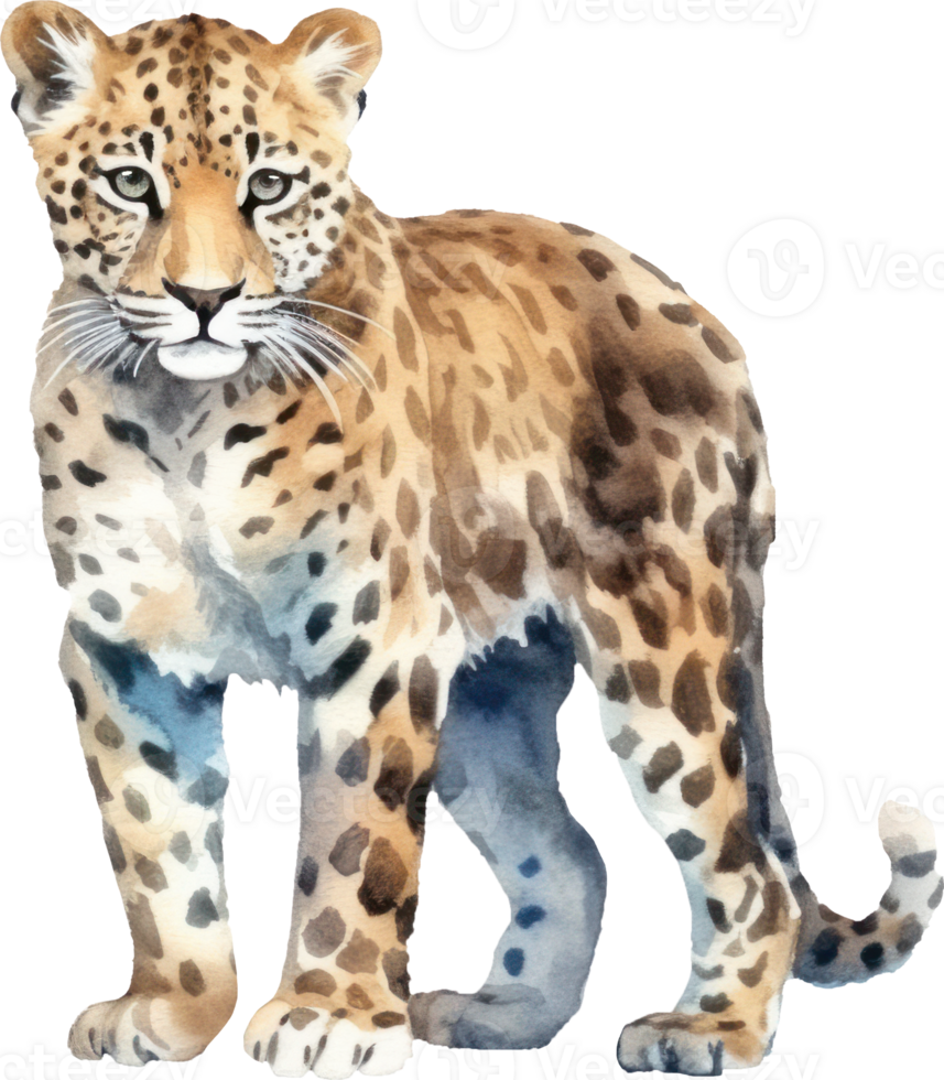 leopardo acuarela ilustración. ai generado png