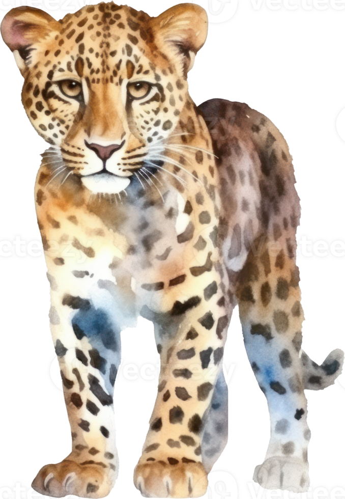 Leopard wildlife animals watercolor illustration 9373220 PNG