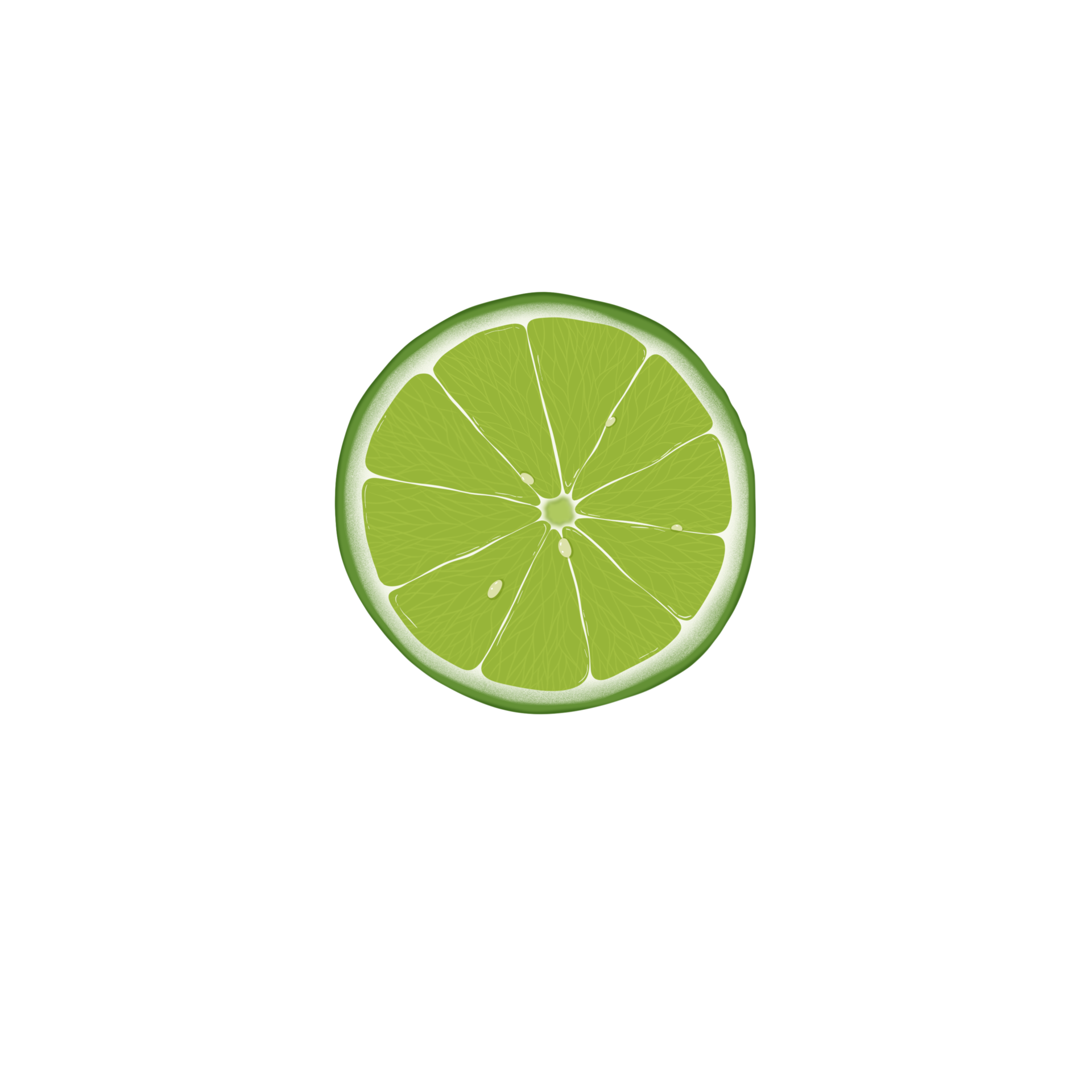 realistic fresh lime slice 24700620 PNG