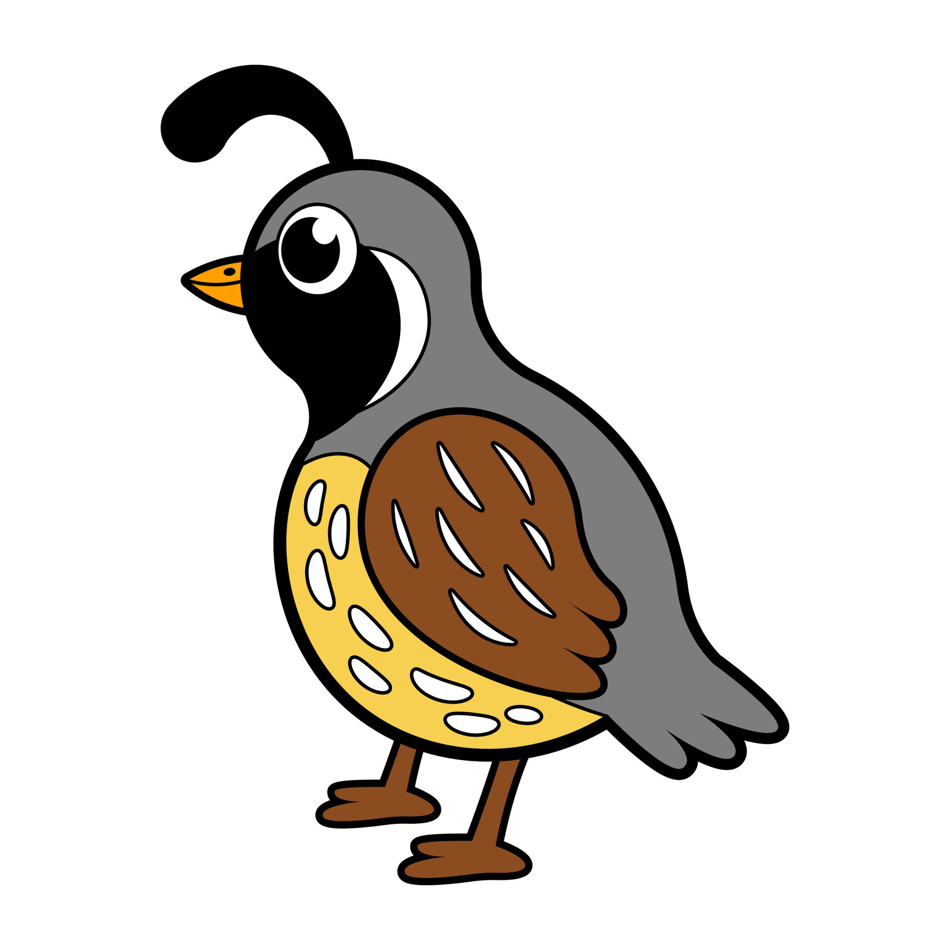 Unique and Adorable cute quail drawing Designs for Your Art Projects