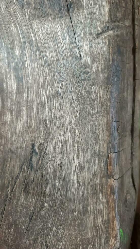 wood log skin surface texture photo