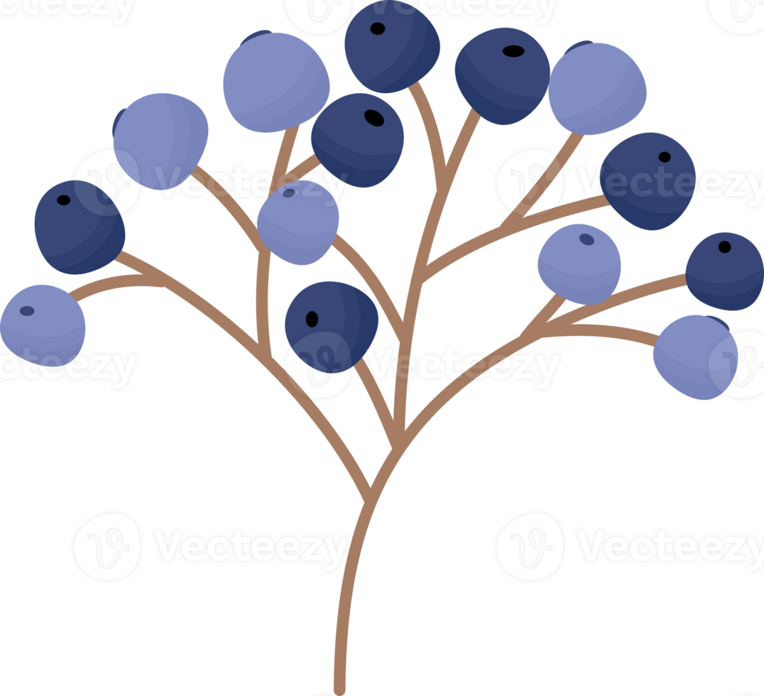 autumn leaves elements png