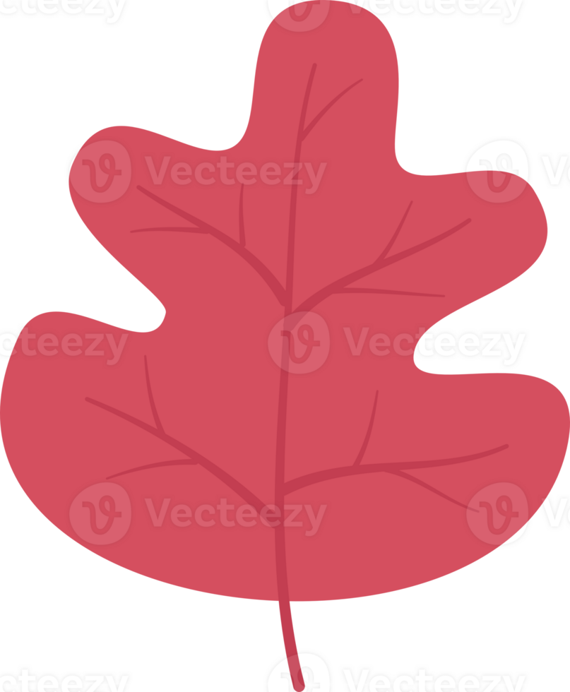autumn leaves elements png
