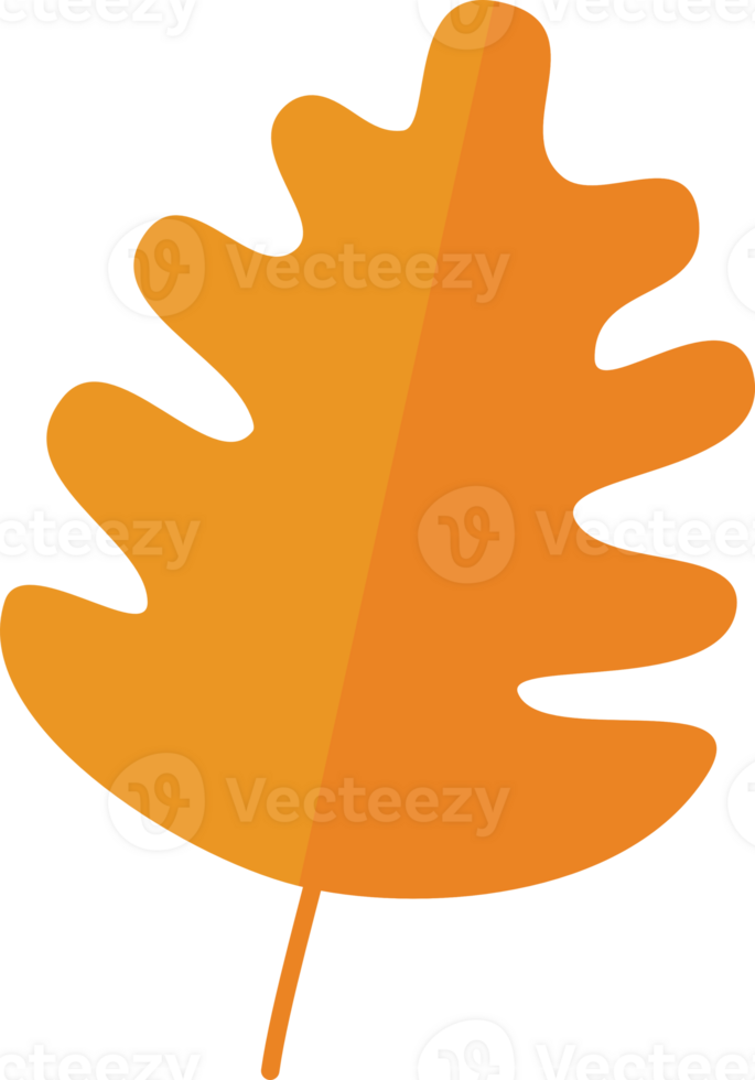 autumn leaves elements png