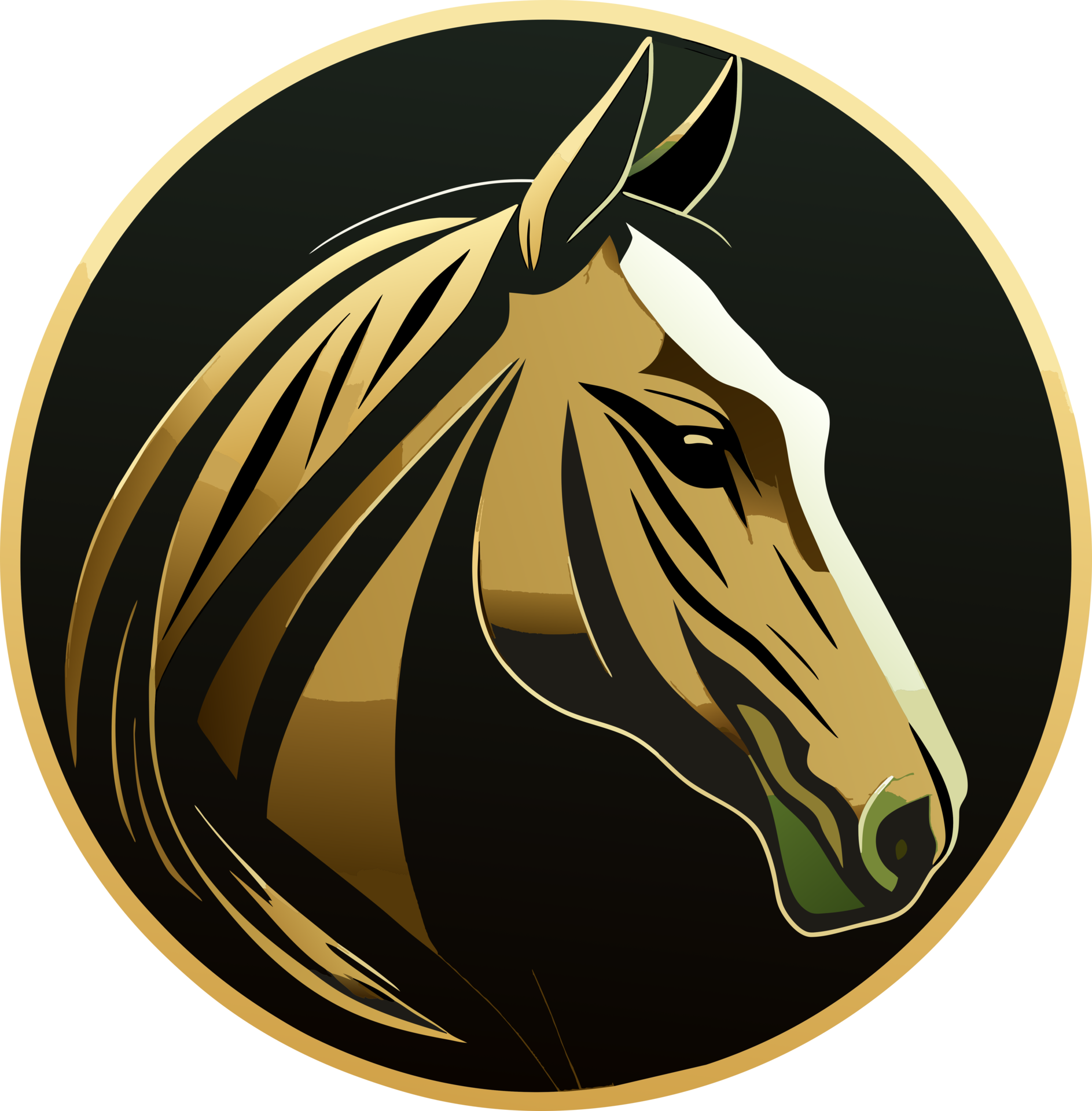 Horse icon . 24701485 PNG