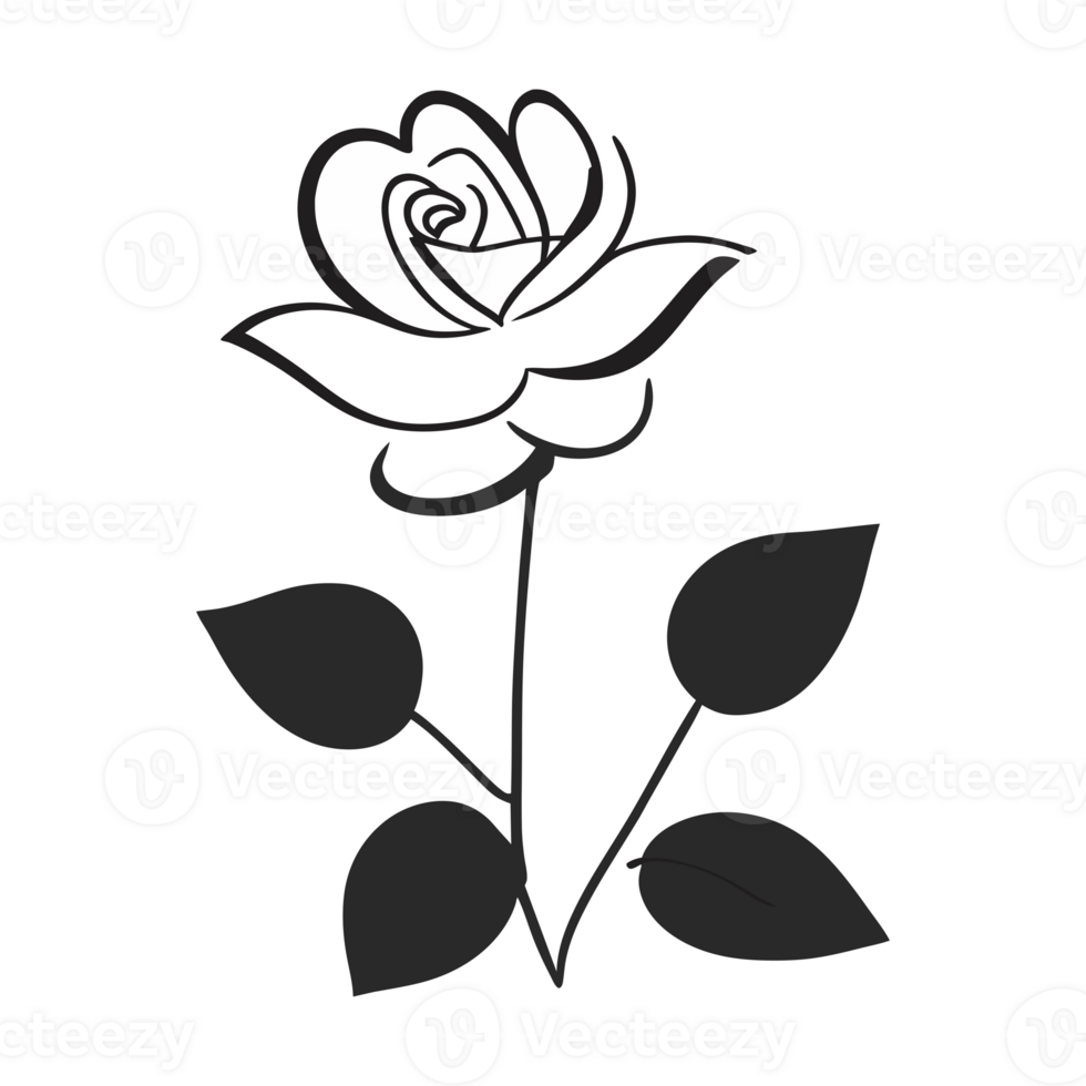 Rose flower. aesthetic png