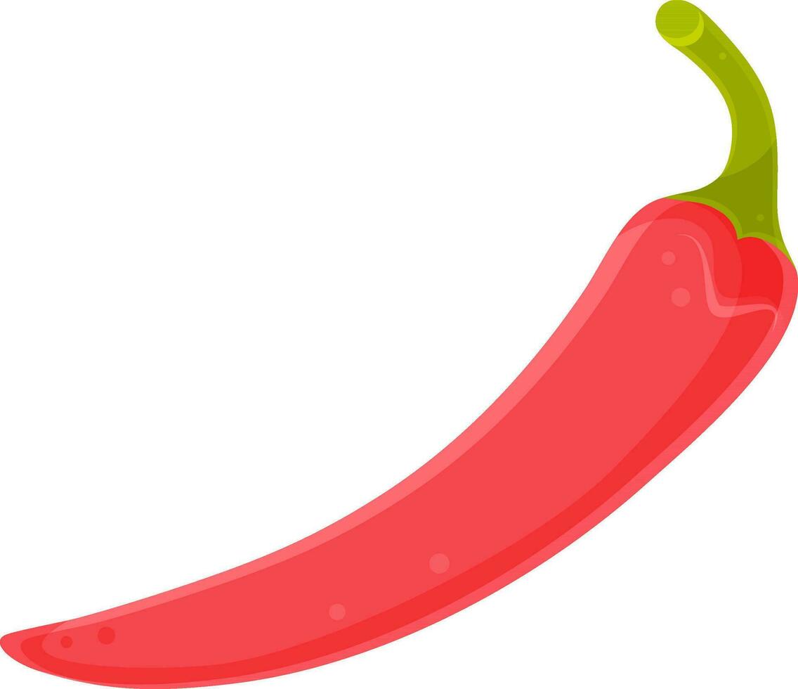 color vector illustration of pepper, hot chili pepper, herbs and vegetables, spices and herbs, vitamin a