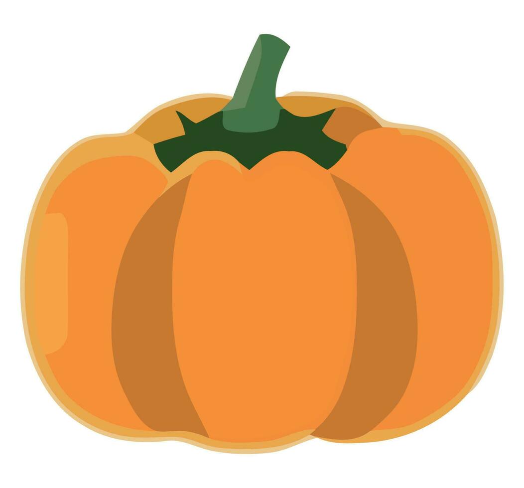 Autumn harvest pumpkin over white vector