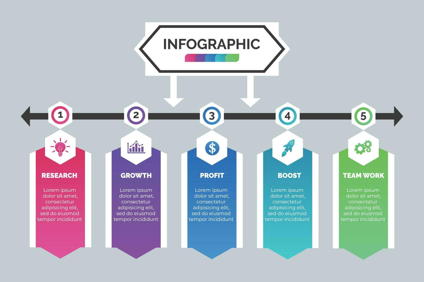 Infographic visualization and business icons. Concept with 5 options, steps, process for presentation, layout, diagram chart, anual report vector