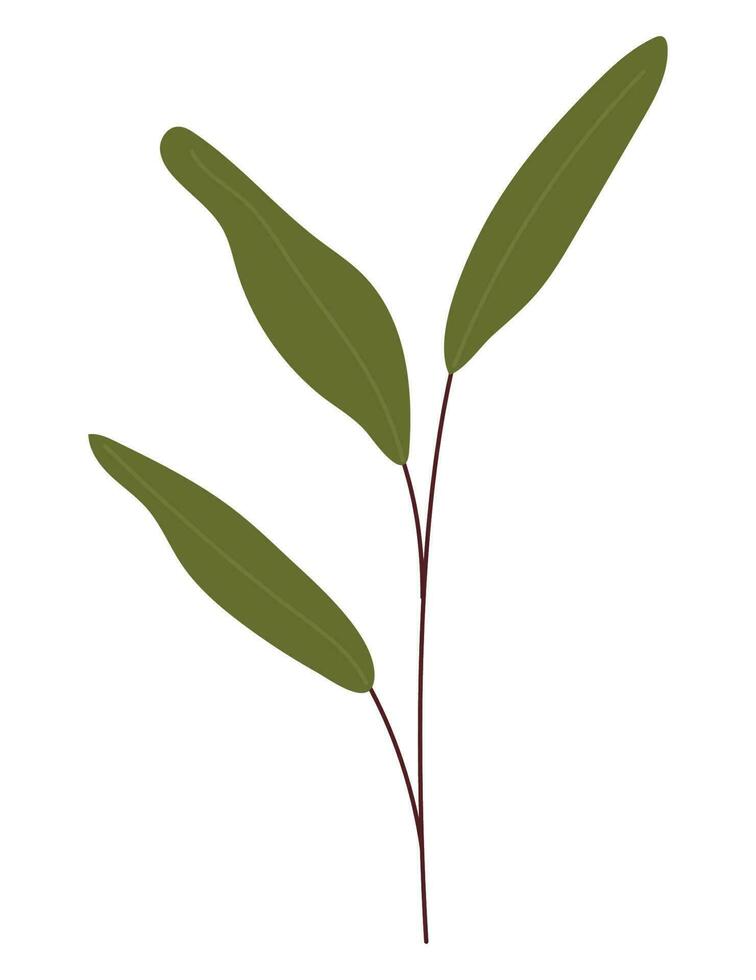 leaves branch design over white vector