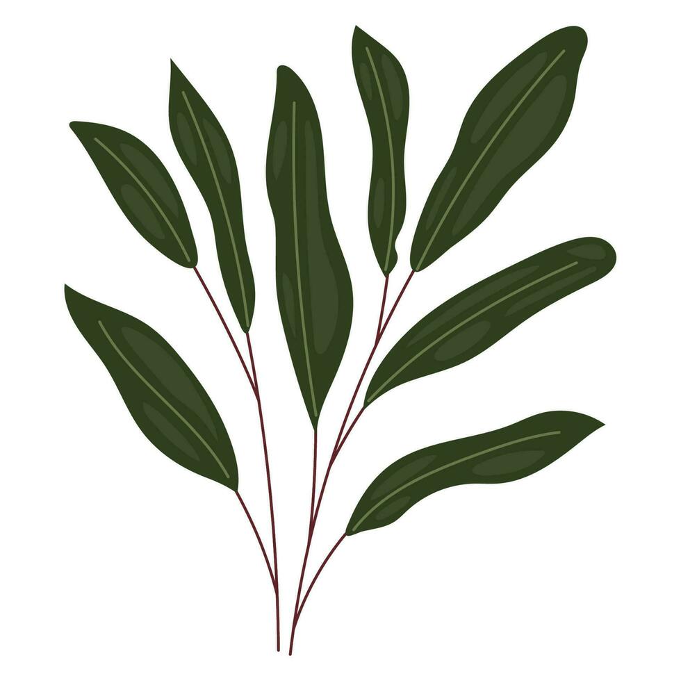 green leaves branch over white vector