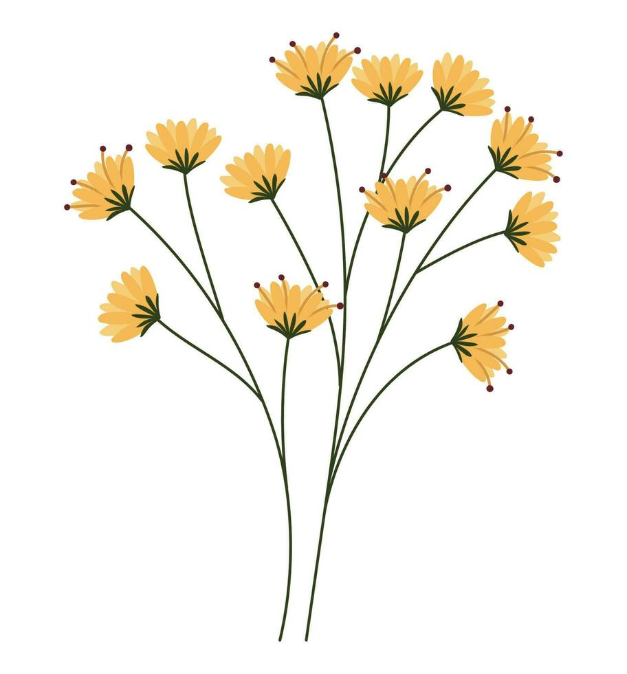 branchf of flowers over white vector