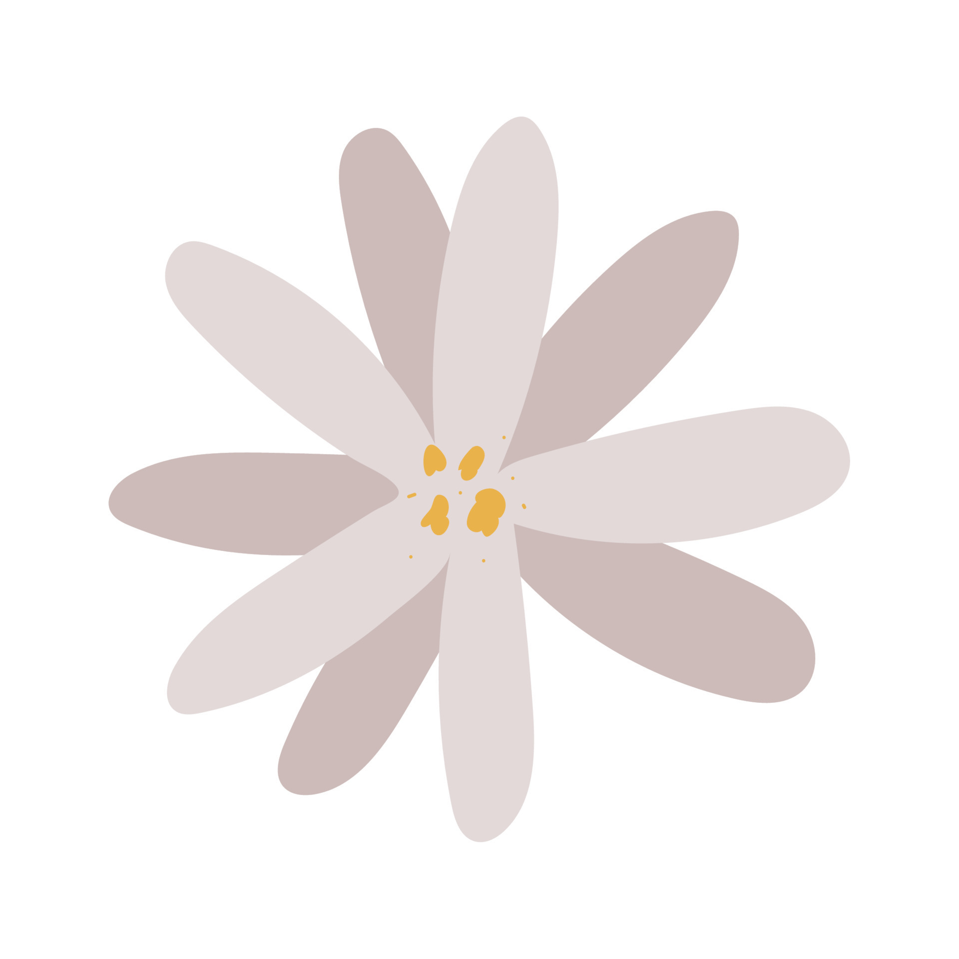white flower illustration isolated icon 24702105 Vector Art at Vecteezy