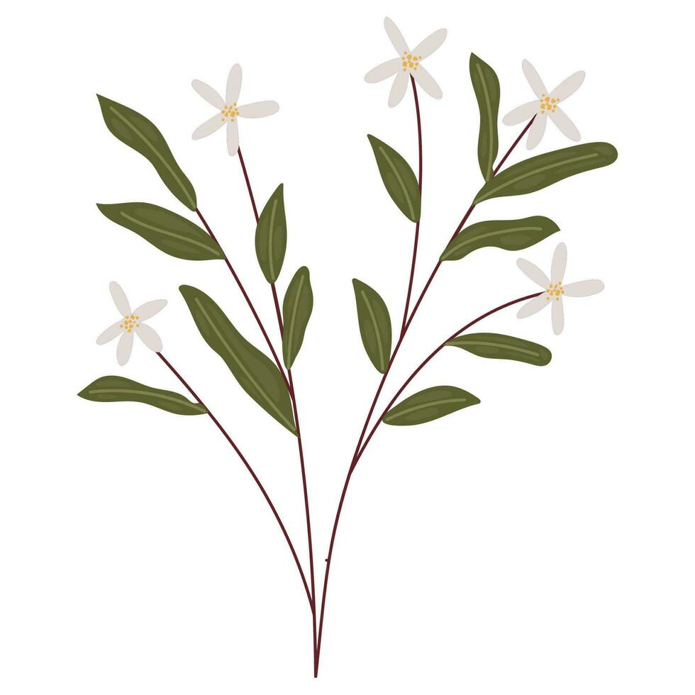 branch of white flowers isolated icon vector