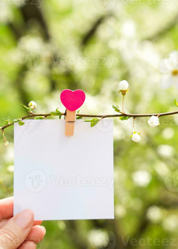 Empty white sheet is attached with a decorative clothespin to a branch against the background of a flowering tree. Mockup. Spring time. Copy space. Selective focus. photo