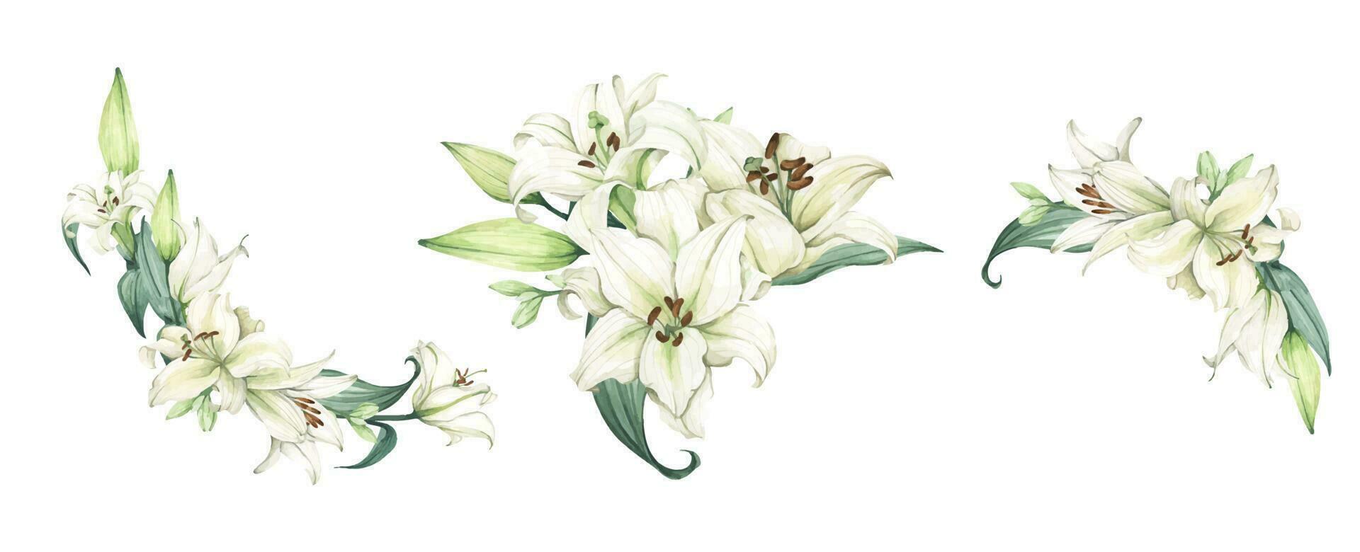 Set of White lily. Floral bouquet for wedding invitations, birthday stationery, greeting cards, scrapbooking. Watercolor illustration vector