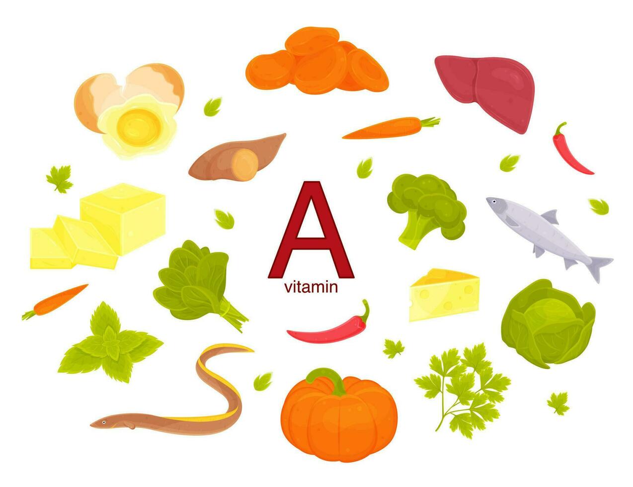 color vector ilustración de vitamina a, hierbas y verduras, especias y hierbas, vitamina un contenido en comidas