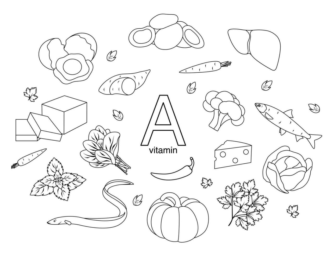 vector illustration of vitamin a, greens and vegetables, spices and herbs, vitamin a content in products, doodle and sketch