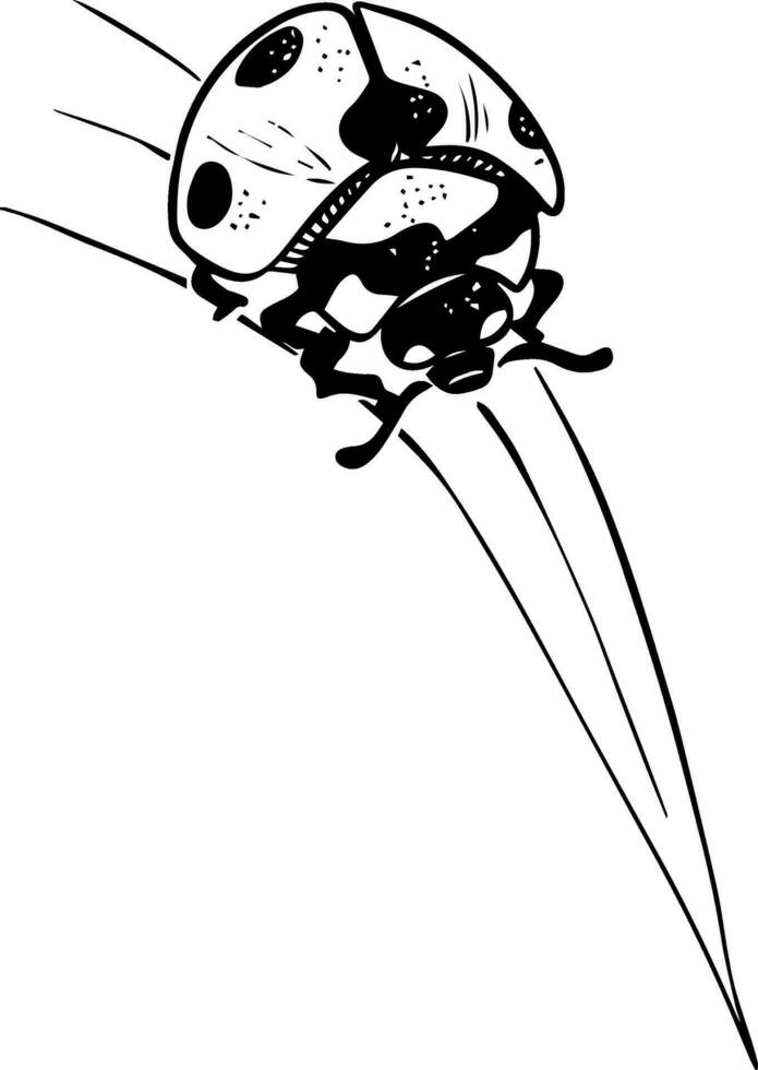 Sketch style ladybug crawling on grass straw black lineart isolated on white background vector
