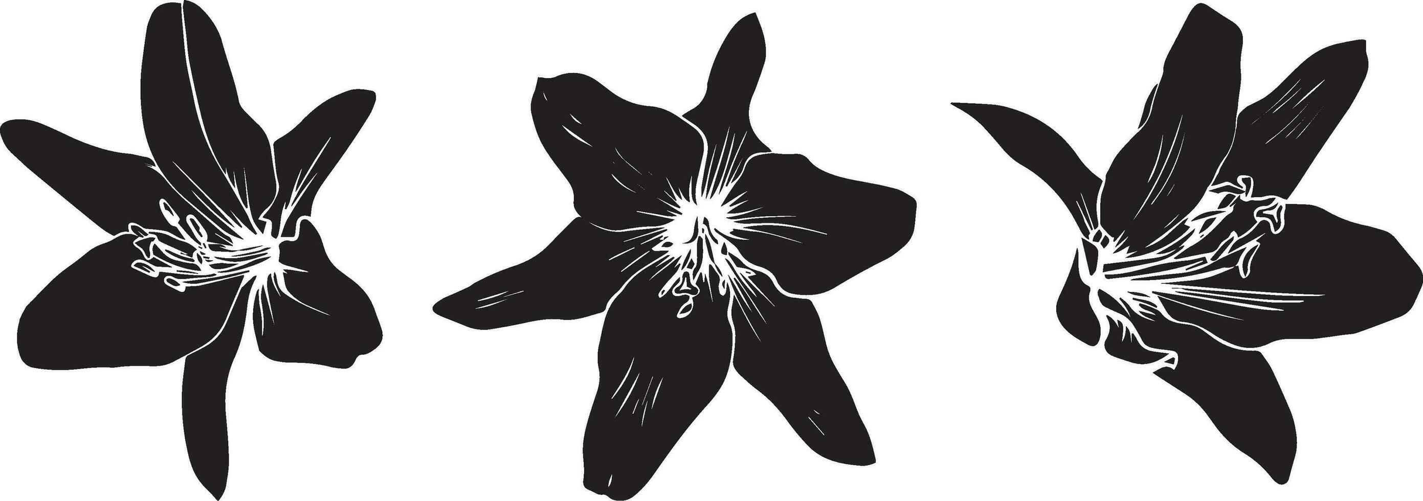 Vector set of black silhouette lily flowers isolated on white background