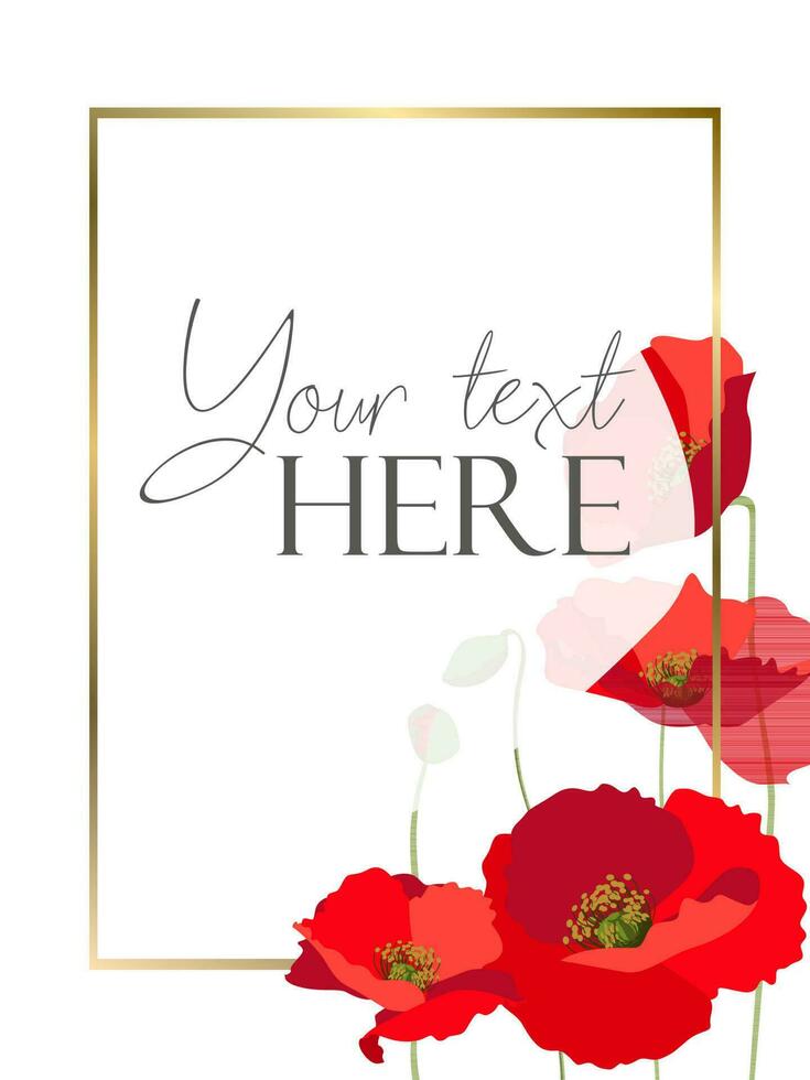 Flat style background template with red poppies bunch on white background with golden frame vector