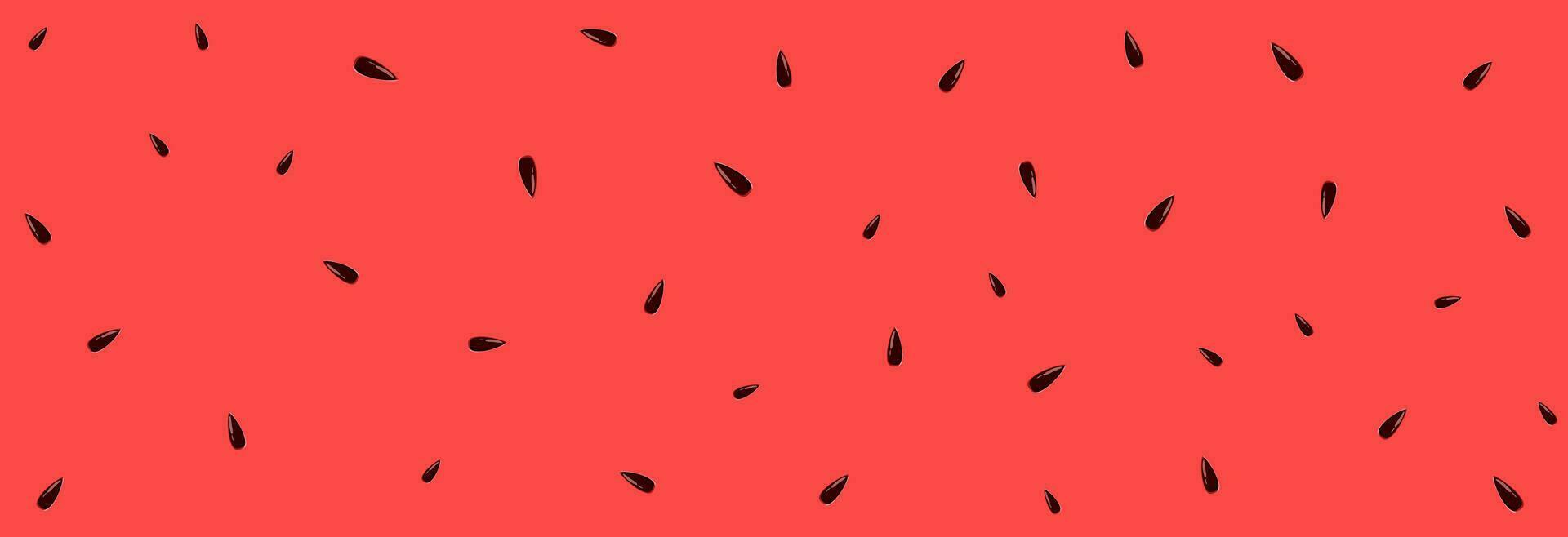 Sweet red watermelon with stones. vector