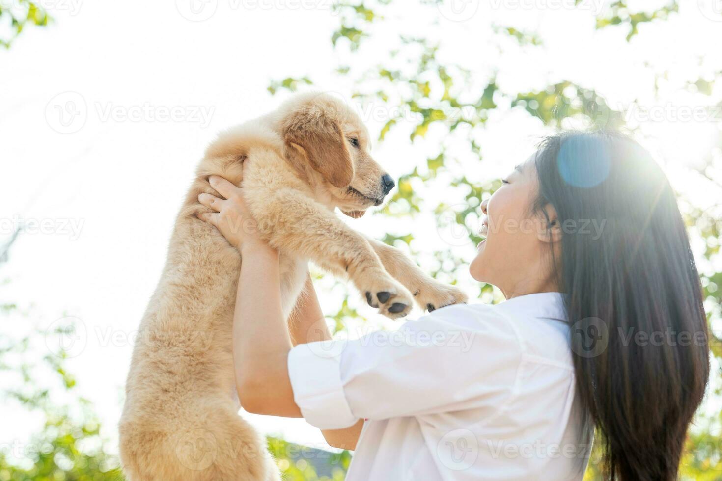 asiático mujer jugando dorado perdiguero perrito en el jardín. foto