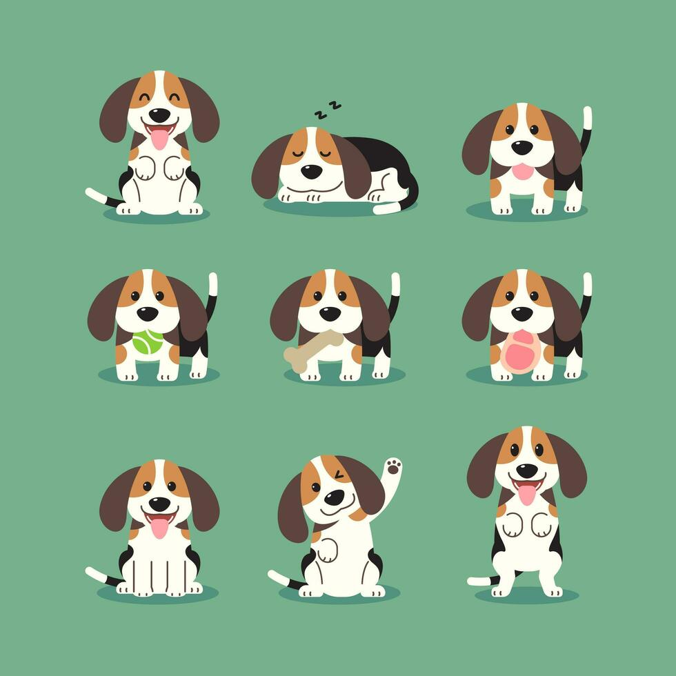 Cartoon beagle puppies in various poses, Set of cute pet drawings. vector