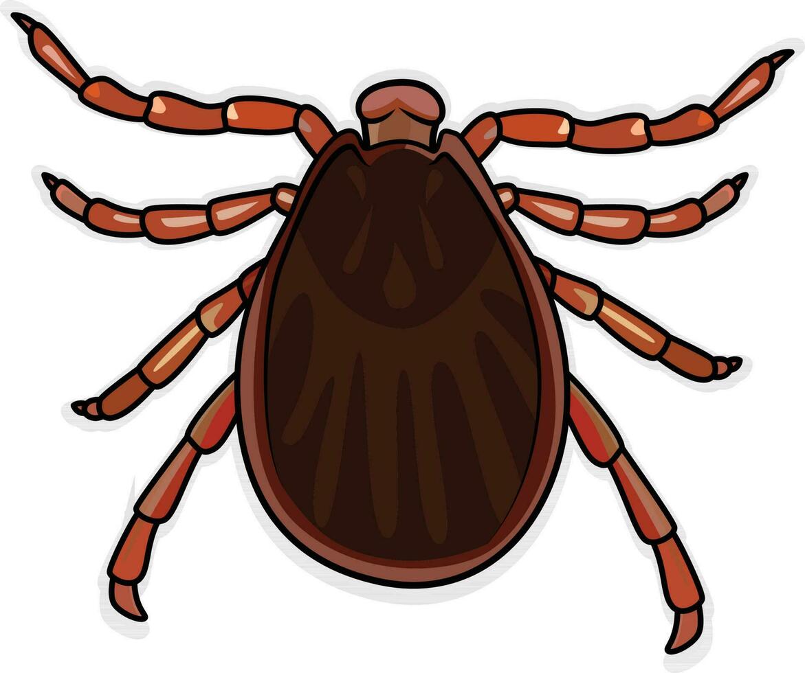 Dog tick nymph stage vector image, Dermacentor variabilis vector illustration